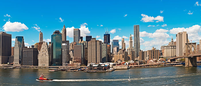 physical visa reward